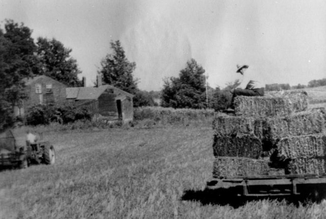 Wayne and Harry Watson bailing hay about 1950